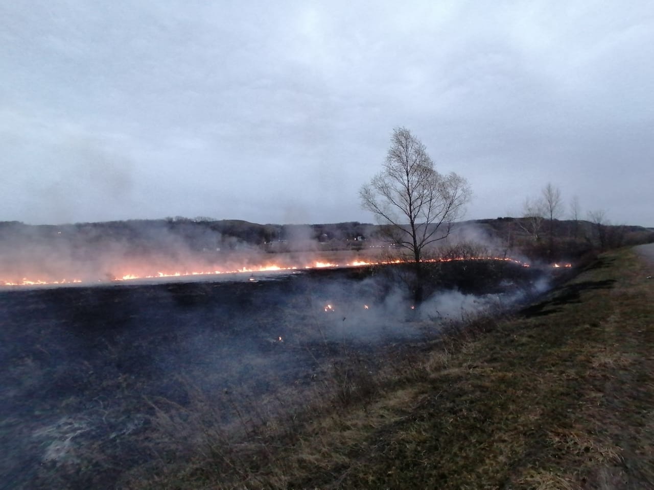 П каменный погода. Бузулукский Бор пожар. Пожар в Бузулукском Бору 2021. Бузулукский Бор после пожара. Пожар в Бузулукском Бору 2021 август.